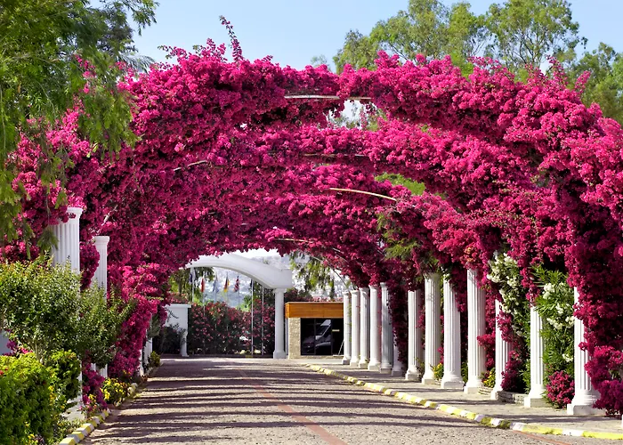 Kadikale Semesteranläggning (resort) 5*