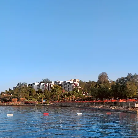 Kadikale 5*